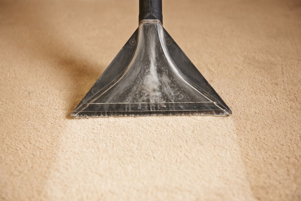 Rug Cleaning Service in Houston TX Same Day Service